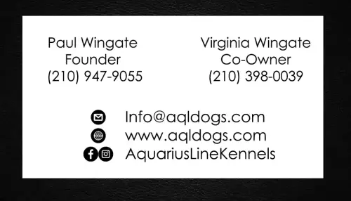 Double Sided Business Cards 08